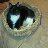 crochet pet bed in progress